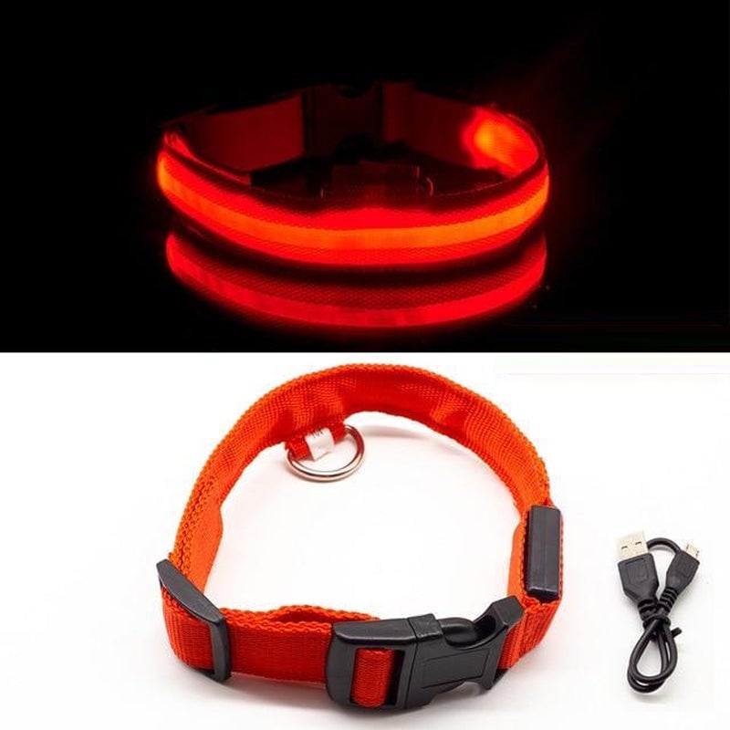 LED-Halsband
