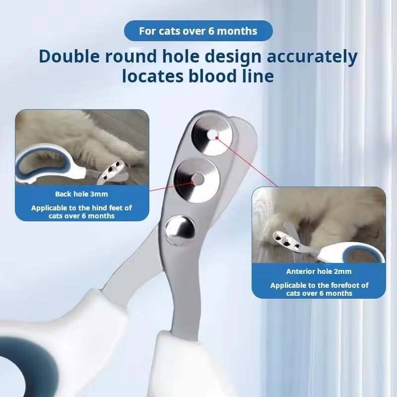72ec8fd9-8f86-4cdd-febb-2c56f845e500