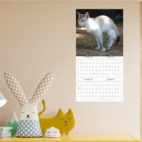 Katteafskræk kalender