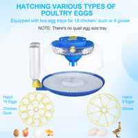 18-Egg Incubator