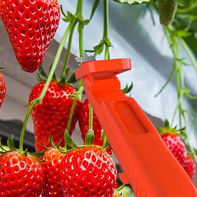 Outils efficaces de collecte de poivre