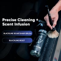 Complete Interior Cleaner & Scent booster