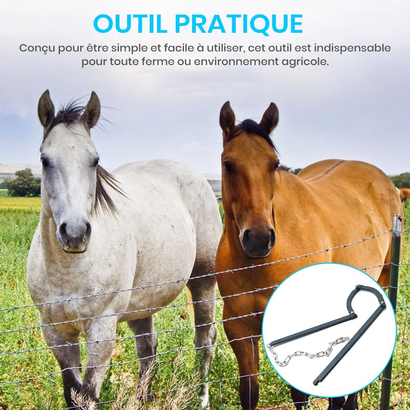 3_417fdf40-f5fd-42f3-bdc6-d323088228db