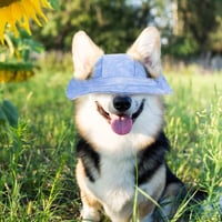 Buitenzonweringkap voor honden