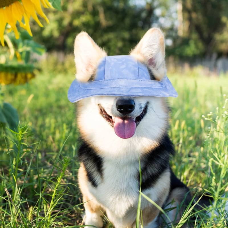 Buitenzonweringkap voor honden