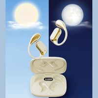 Wireless Ear Hanging Earphone