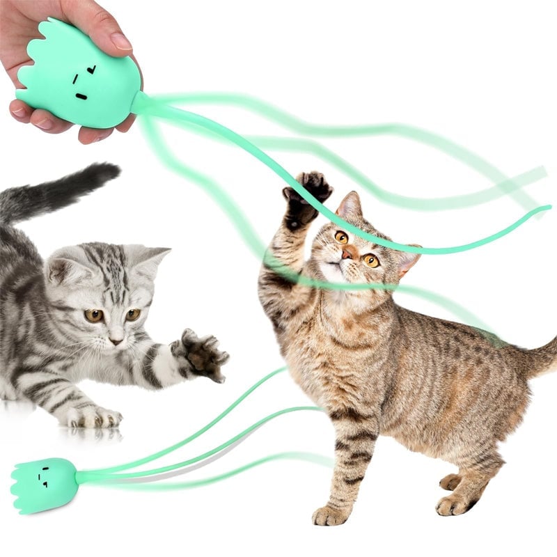 Katzenspielzeug für den Innenbereich