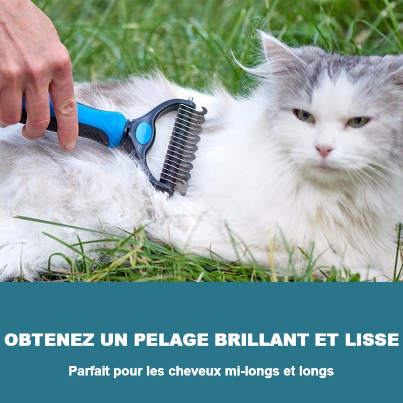 Brossedetoilettagepouranimauxdecompagnie_4