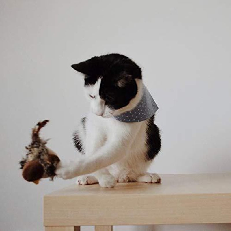 11_5986a625-433f-4729-a0a5-eb798f0d11e1