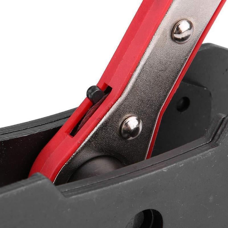 5_800x_6f37b4cc-0e1a-4022-9c68-1b642c7b220c