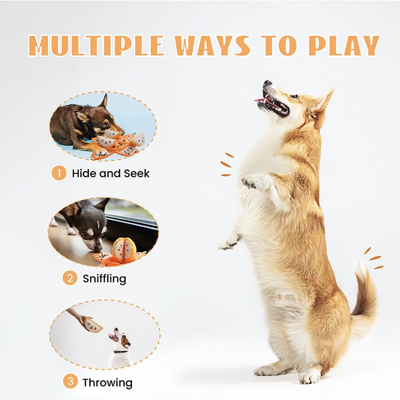 75ef781d-1ce6-4e18-5b65-4130449e4500