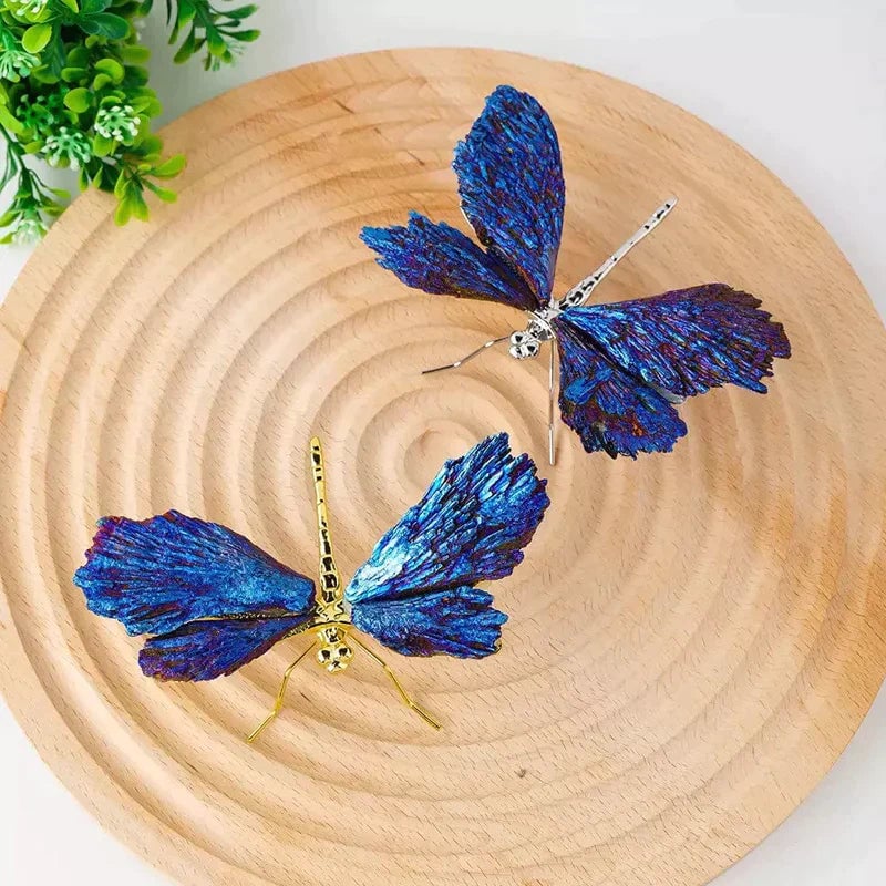 Libellule Aura Tourmaline Kyanite