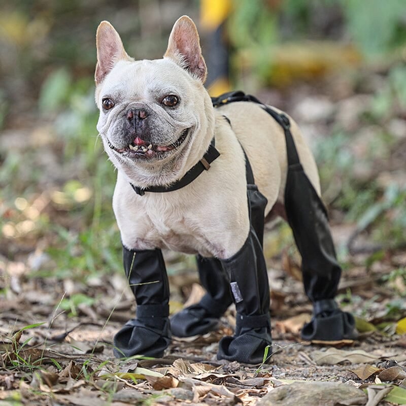 Pet Outdoor Waterproof Suspender Boots