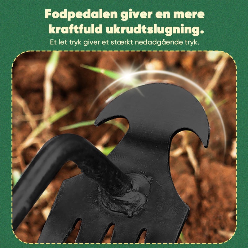 4_23d8c389-b19b-4e71-a5c5-7c9bd438bf95