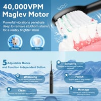 Adult Sonic Electric Toothbrush 