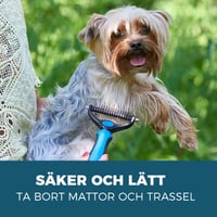 2_e5d31034-cc7b-41c4-ac85-f4424ea506de