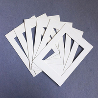 New Pet Paw Printing Kit