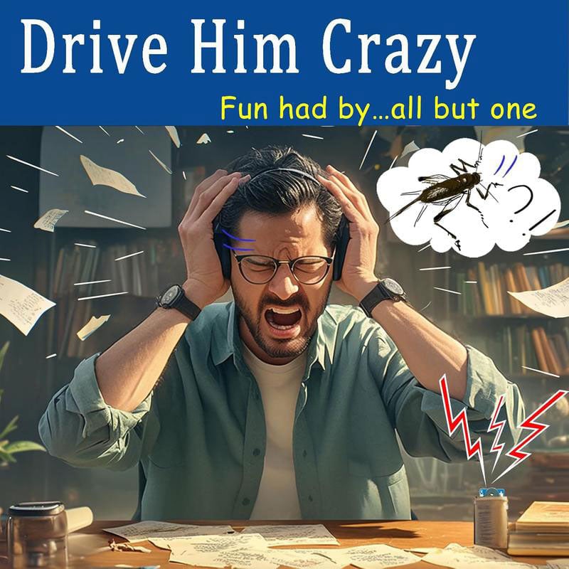 1_a2758814-ba52-4961-83d8-0a8020e42d66