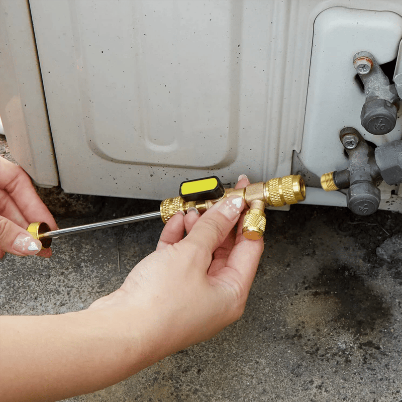 77f37c5a-5d29-4061-dbcb-526cdaafc800