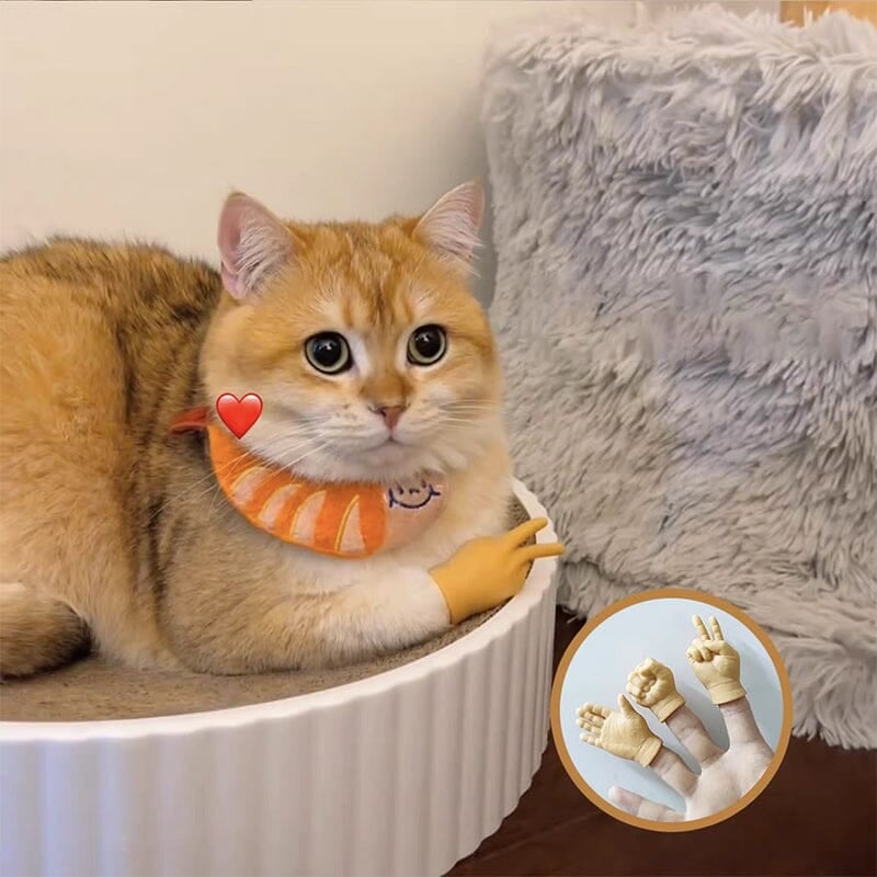 Funny Cat Glove Toy