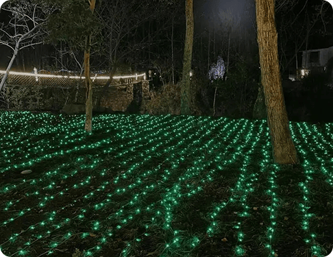 Electricity bills problem