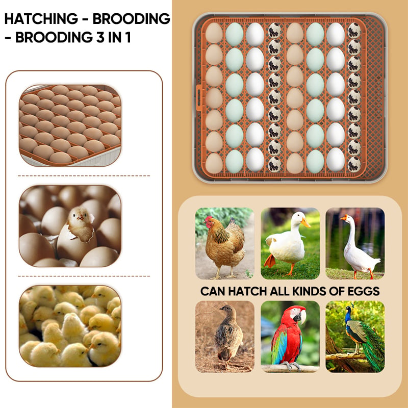 SAKER® Egg Incubator