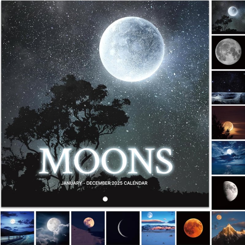 2025 Wall Calendar
