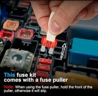 Assorted Automotive Blade Fuse Set