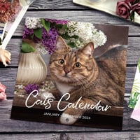 Cute Cat Wall Calendar