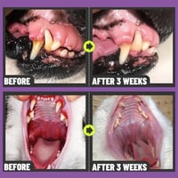 Teeth Cleaning Spray for Dogs & Cats