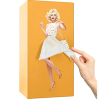 Fluffy Skirt Girls Tissue Box