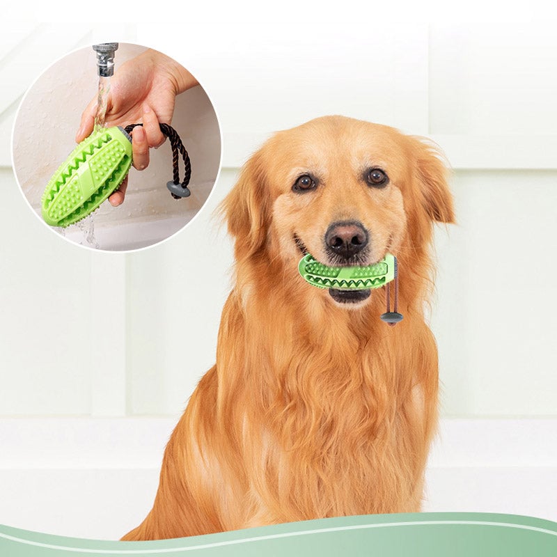 DOG TOOTHBRUSH TOY