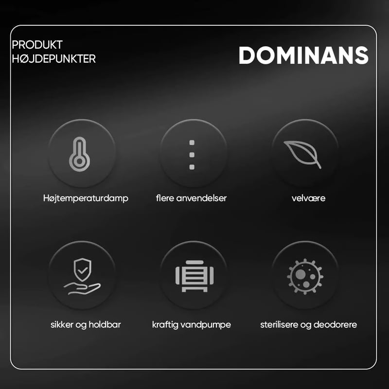 Sakerplus desinficerende damprenser