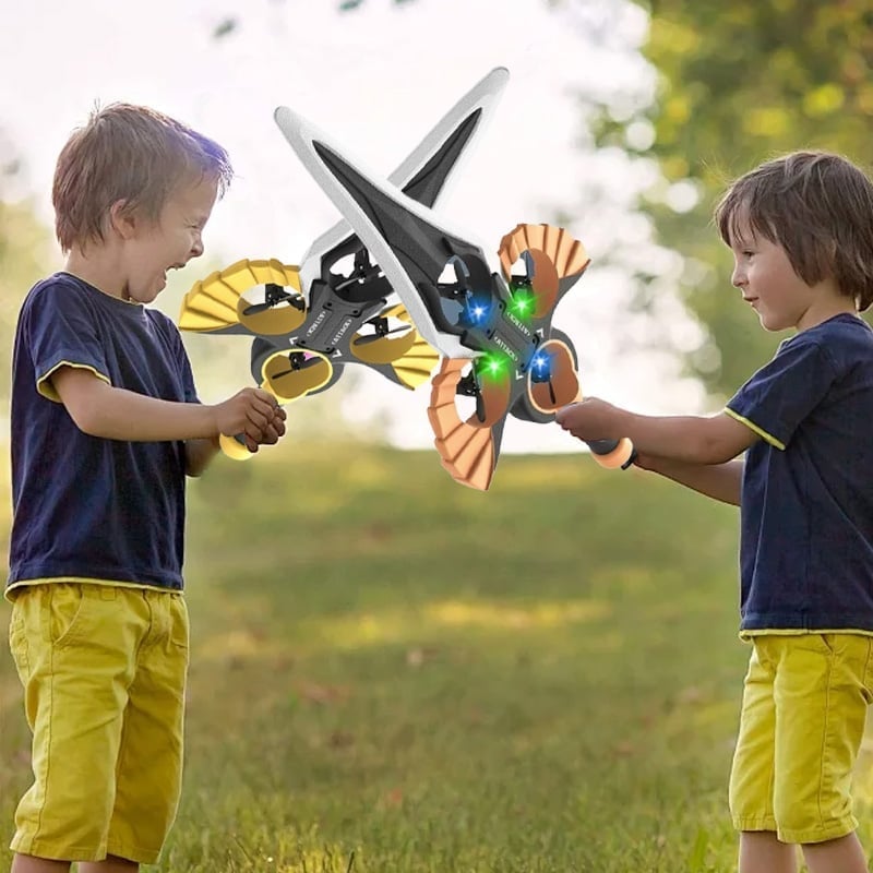 Flying Sword RC Glider