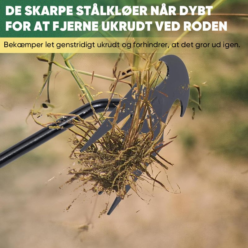 3_1de3b0c8-a244-4db7-b88c-fa8cf8dafe3d