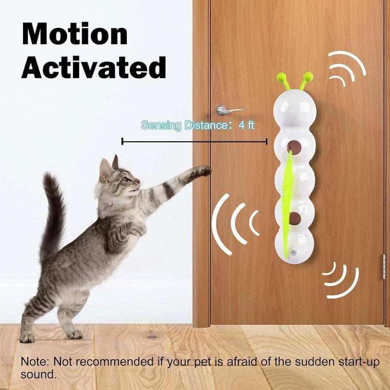 🐱Interactive Electric Caterpillar Cat Toy