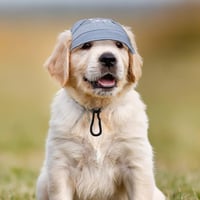 Buitenzonweringkap voor honden