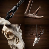 🦌Anhänger für den Rückspiegel aus einem Weißwedelhirsch-Schädel