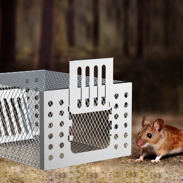 1_2_7eaef01a-ce33-4138-b5a2-3e43cb0bffe6