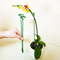 SALE Plant Support Stake