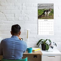 Katteafskræk kalender