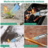 3a357770-4bd7-438f-6d09-7c9a47eaac00.jpg