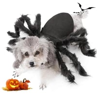 Spider Costume for Pets