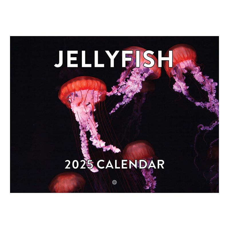 2025 Jellyfish Calendar