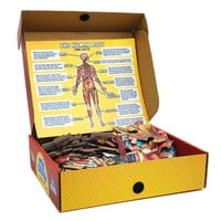 Anatomie-Puzzle für Kinder