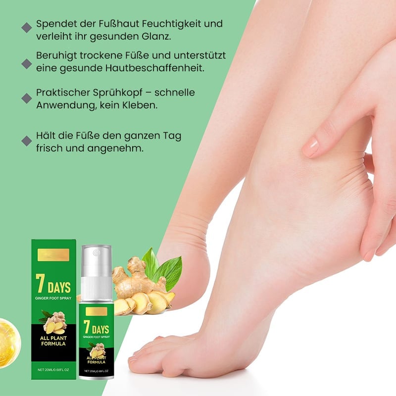 Hornhautentferner für die Füße