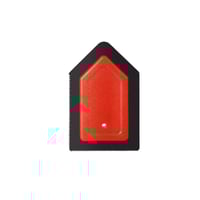 Pet Hair Remover Tool