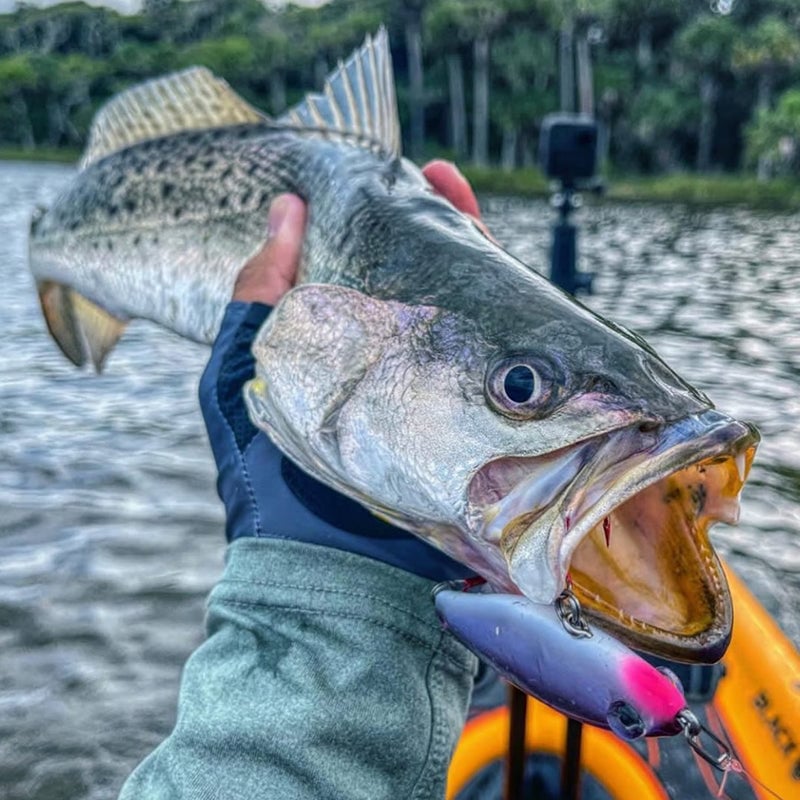 7d069241-5fa3-43c3-889c-9287fc9b9500