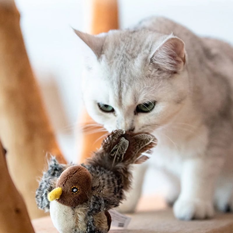 7d1b56b2-60a6-494d-a0e1-6b0f0a8ce300