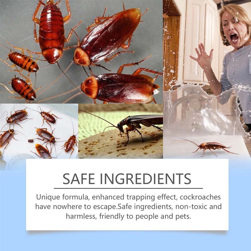 1_4_39c31657-e286-407f-ab2f-22eb67d278f2